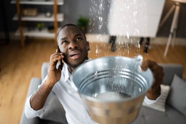 Best Ceiling water damage repair  in Opelousas, LA
