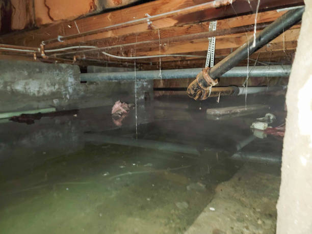 Best Flooded house restoration  in Opelousas, LA