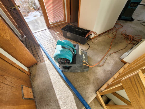 Best Water damage contractors near me  in Opelousas, LA