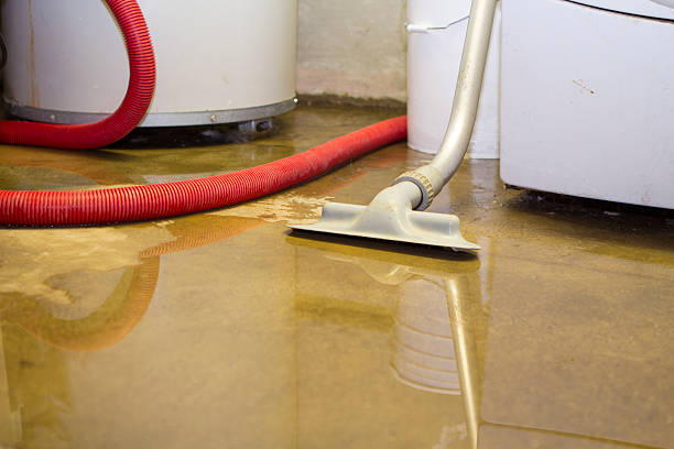 Best Water damage restoration near me  in Opelousas, LA