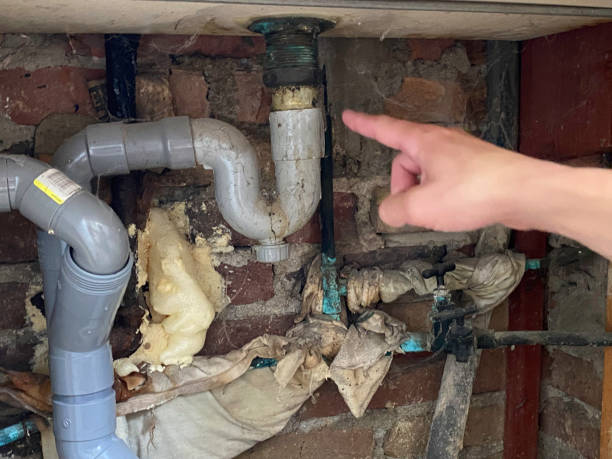 Water damage restoration experts in LA